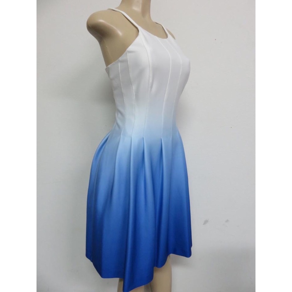 MOVING sale! Calvin Klein fit & flare ombré dress